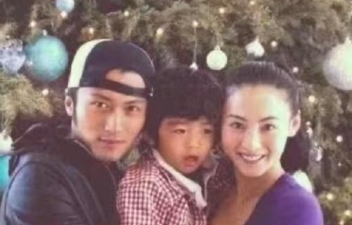分享一些张柏芝大儿子谢振轩的成长经历