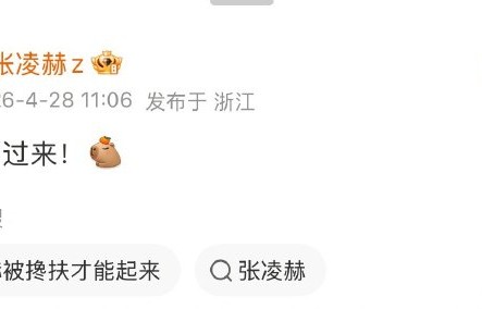 粉丝对张凌赫报平安语音的反应如何？