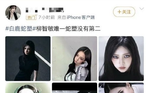 白鹿和柳智敏合作的可能性大吗？