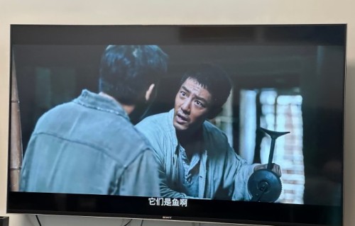 肖战《莫得闲》毒舌怼人名场面，笑中带泪看哭网友