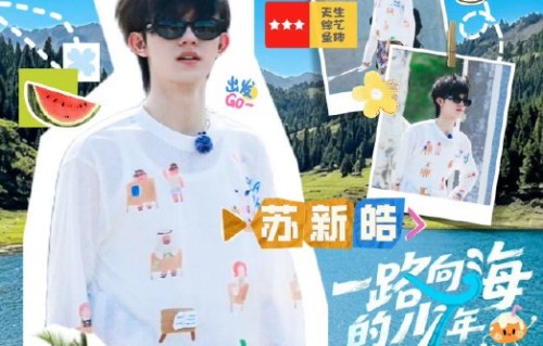 铲丝用哪些创意应援回应苏新皓