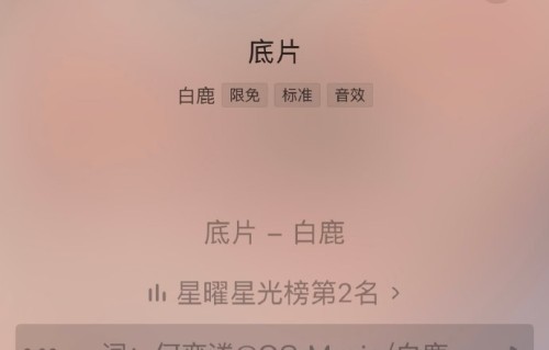 白鹿团队为何选择分批发布MV物料拉长宣发周期？