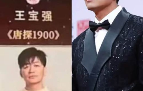 王宝强和刘昊然在《唐人街探案》系列电影中分别饰演什么角色？