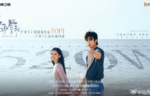 业内对宋威龙“现偶扛剧者”的评价是否一致？