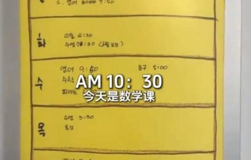 蔡琳8岁儿子放暑假，珉宇要上16个补习班，高梓淇又飞韩国看儿子