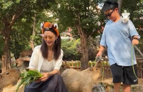 佟丽娅带儿子现身动物园，10岁朵朵五官神态完美复刻陈思诚|离婚|编织帽|半裙|快乐大本营
