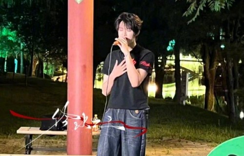 公园偶遇唱的好听完整版视频在哪里能看？