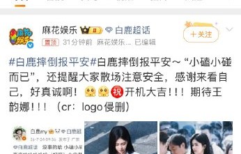 白鹿摔倒报平安自嘲“好笨”，暖心叮嘱粉丝散场注意安全