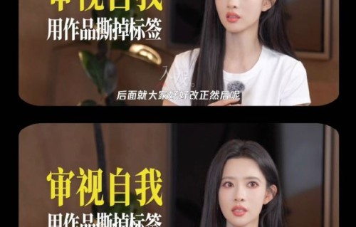 孟子义角色同质化的争议具体指哪些作品？