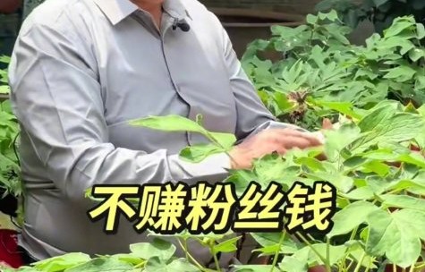 大衣哥坚持10万3首歌多年不涨价是为什么？|朱之文|商演|底线|农民|活动