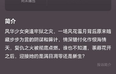 白鹿的新剧《开到荼蘼》讲述什么故事？