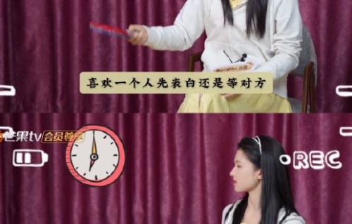 张婧仪属于回避型依恋人格吗？