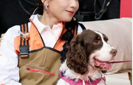 工作犬查理是什么品种，它和刘涛如何培养默契？|无名|梁朝伟|周迅|王一博|小狗