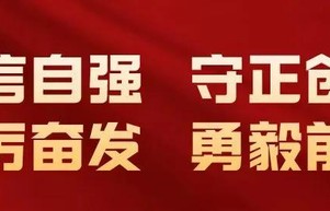 露天电影成夏夜“顶流” 石家庄电影消夏放映季持续升温