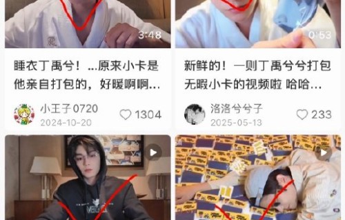 丁禹兮在打包vlog中展示了哪些细节？