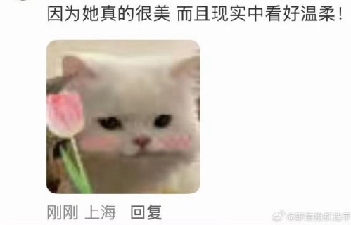 Angelababy素颜带娃被偶遇！小海绵身高直逼妈妈肩膀