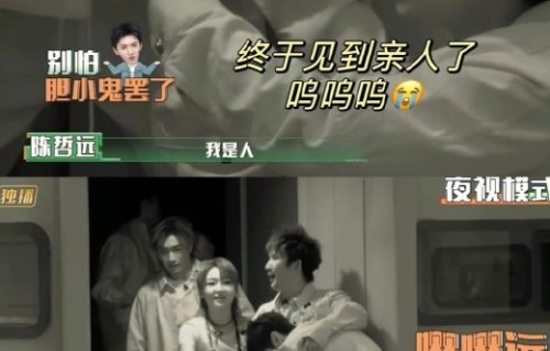 陈哲远和吴谨言直播聊天氛围如何？
