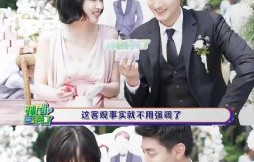 圈内艺人如何评价张凌赫的为人处世？