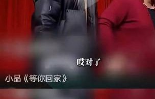 双高胎谐音梗“味大熏”具体指什么事件？
