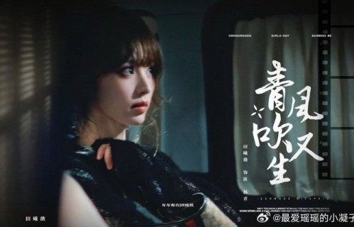 《青风吹又生》原著小说《赢家》有哪些值得期待的改编点？