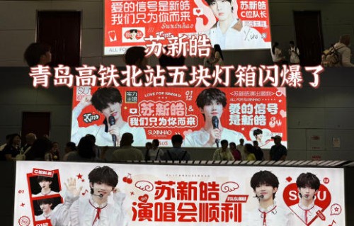 苏新皓青岛演唱会现场红海应援是如何组织的？