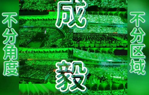 成毅音乐节澄清视频中工作人员上台的真实原因是什么？