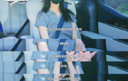网友对陈都灵东北早市vlog的反响如何？