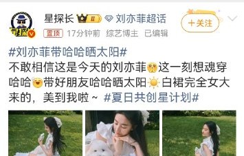 刘亦菲素颜遛狗太治愈！哈哈厌世脸笑翻网友