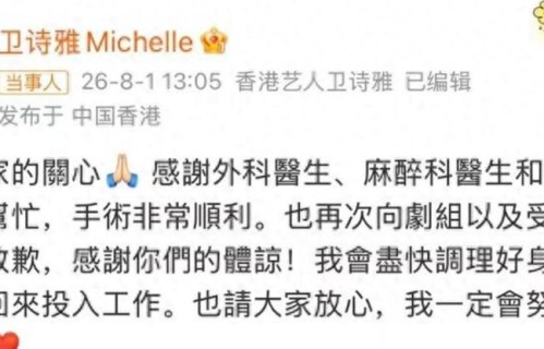 金像影后卫诗雅拍狩谎意外重伤 口唇缝50余针全面停工