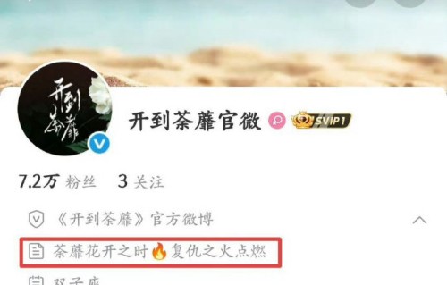 白鹿主演《开到荼蘼》会如何演绎复仇大女主？
