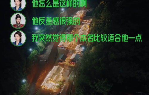 网友对张凌赫严谨品牌大使形象评价如何？