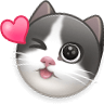 奶牛猫